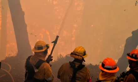 Los Angeles Braces For ‘Life-Threatening’ Windstorm, Set To Be The Strongest In A Decade