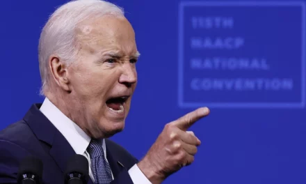 CNN Analyst: Biden Claiming He Could Have Beaten Trump Is ‘Flat Out Bonkers’