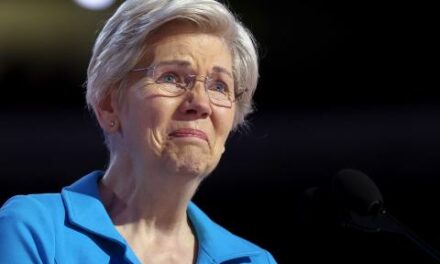 Warren touts $1.5 trillion ‘Buy Green Act,’ drawing skepticism