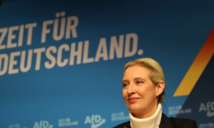 German Anti-Mass Migration AfD Party Surges in Polls Ahead of Election