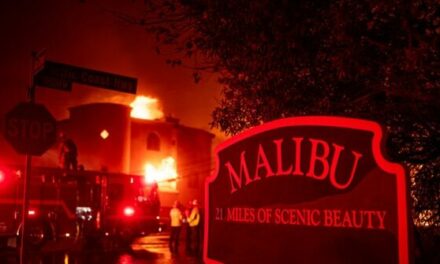 Malibu Councilmember: ‘There’s Too Much Bureaucracy’ Telling Us What We Can and Can’t Do