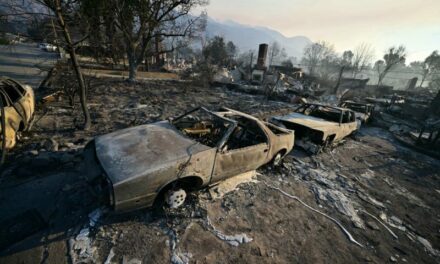 California Fires Underscore Major Faults in Government Officials