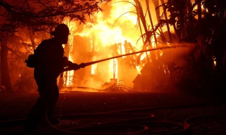 CA State Of Emergency; Fires Destroy More Than 1000 Structures