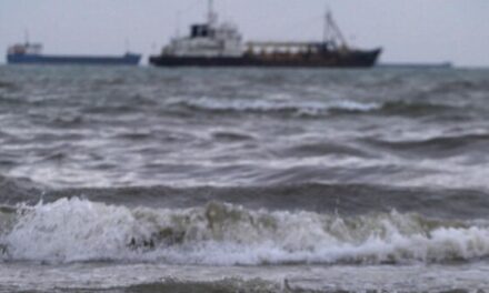 Russian Officials Declare Emergency in Crimea as Oil Spill Reaches Sevastopol