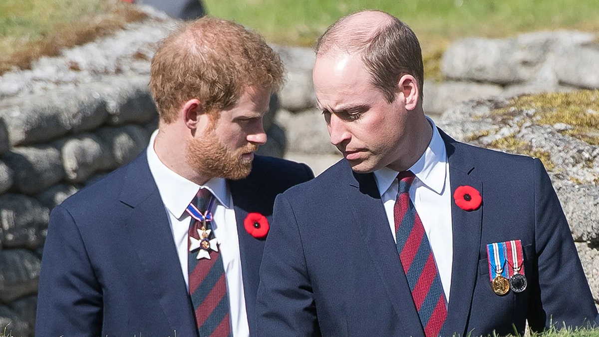 Prince Harry and Prince William looking at each other in matching suits