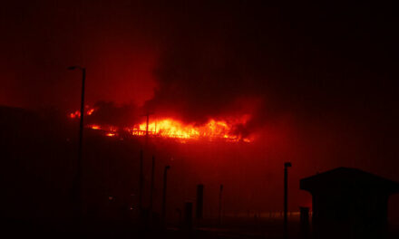 Brush Fire Erupts in Eaton Canyon Near Altadena amid Los Angeles Wildfires