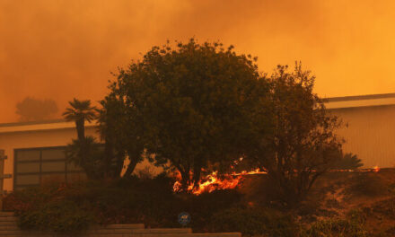 Apocalyptic Video Shows Two Men and Dog Surrounded by Blaze in Home