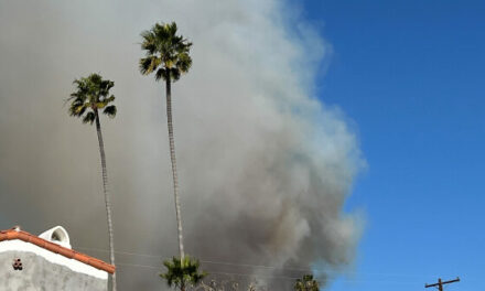 Brush Fire Spreads Into Hollywood Hills Amid ‘Life-Threatening’ Wind Conditions