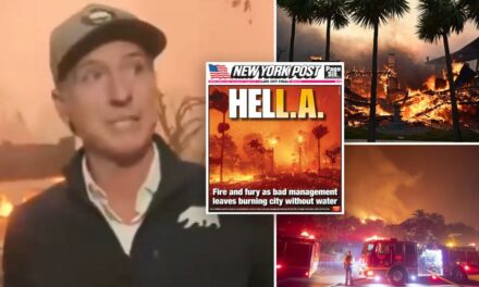 Gavin Newsom on Wildfires Ravaging State: “Local Folks” Are Figuring It Out