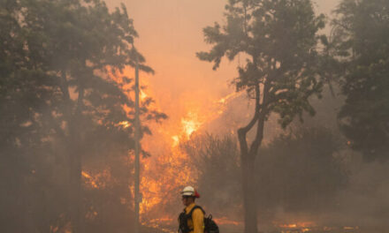 Homes Burn as Wildfire Is Carried Across Pacific Palisades by Strong Winds