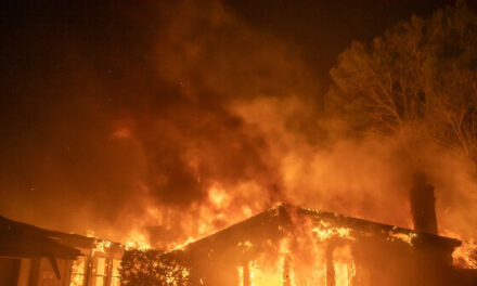 L.A. County Fire Chief: Estimated 1,000 Structures Destroyed in Palisades Fire