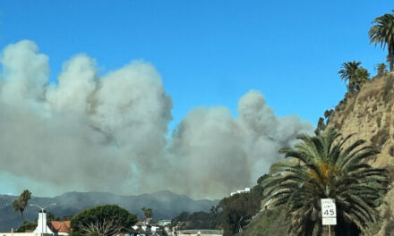 Palisades Inferno Rocks Los Angeles: Blaze Spans 200 Acres, Forces Evacuations