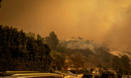 LA Residents Evacuating Due to Palisades Fire Ditch Cars on Highway