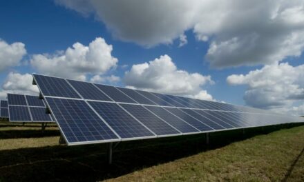 INSANITY: Michigan to Clear 400 Acres of Forest to Build Chinese-Made Solar Panel Farm That Will Occasionally Generate Electricity