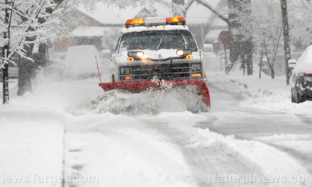 Winter storm Cora threatens southern U.S. with record snowfall and treacherous travel