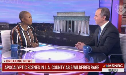 DISGUSTING: Joy Reid, Adam Schiff Politicize L.A. Fires to Bash Trump