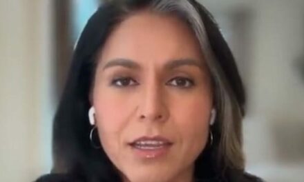 Just as Trump Warned: Senate Democrats Secretly Move to Sabotage and Delay Tulsi Gabbard Confirmation