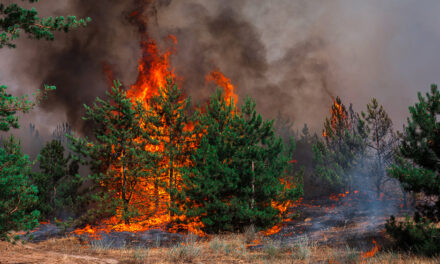 Palisades Fire becomes L.A.âs most destructive wildfire amid water shortages and power outages