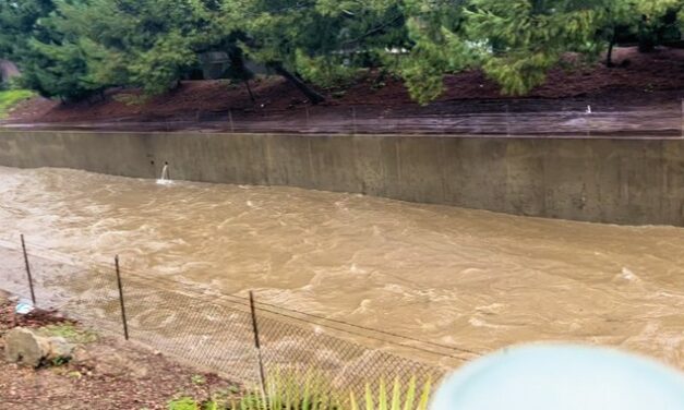 FLASHBACK: It’s Raining Cats and Dogs in California—but What Happens to All That Water?