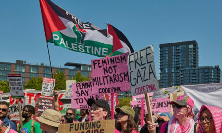 Radical Left-Wing Code Pink Links California Wildfires to Gaza Conflict in ‘Unhinged’ Protest: ‘Genocide Is Ecocide’