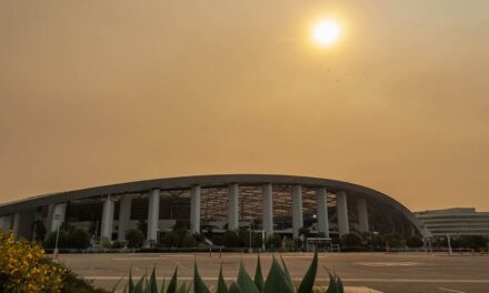 Cardinals send team planes to evacuate Rams’ players, families and pets from wildfires: report