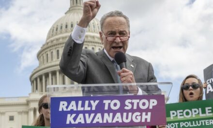 Chuck Schumer MELTS Projection Detectors With Warning About Using Intimidation to ‘Hurt Our Gov’t’