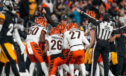 Bengals defense steps up to keep slim playoff chances alive in season finale