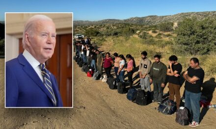 MSNBC analyst concedes record border crossings were ‘not Biden’s finest moment’