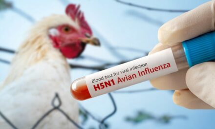 Louisiana reports first bird flu-related human death in US