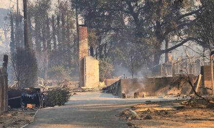 California wildfires: Single mom who lost everything in Eaton Fire hails Altadena’s ‘tenacity’ and ‘spirit’