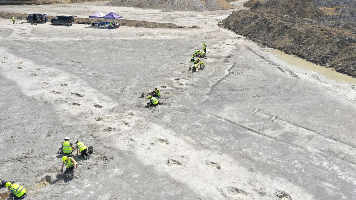 Workers gather around five extensive trackways that formed part of a 