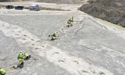 ‘Dinosaur highway’ footprints dating back 166 million years discovered in England