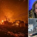 California mom who confronted Newsom over wildfire response speaks out: ‘Clean this up’