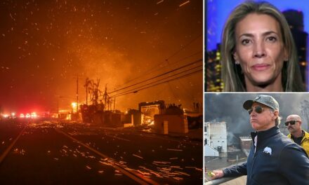 California mom who confronted Newsom over wildfire response speaks out: ‘Clean this up’