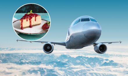 Woman Whips Up A Cheesecake On Flight: Is She The Best Seat Mate Or History’s Greatest Monster?