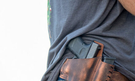 Momentum: National Concealed Carry Reciprocity Introduced in Senate