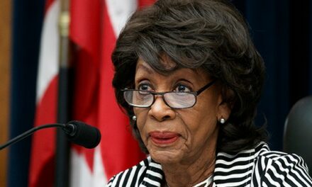 Blame Game: You’ll Never Guess Who Maxine Waters Says Is Responsible for L.A. Wildfires (WATCH)