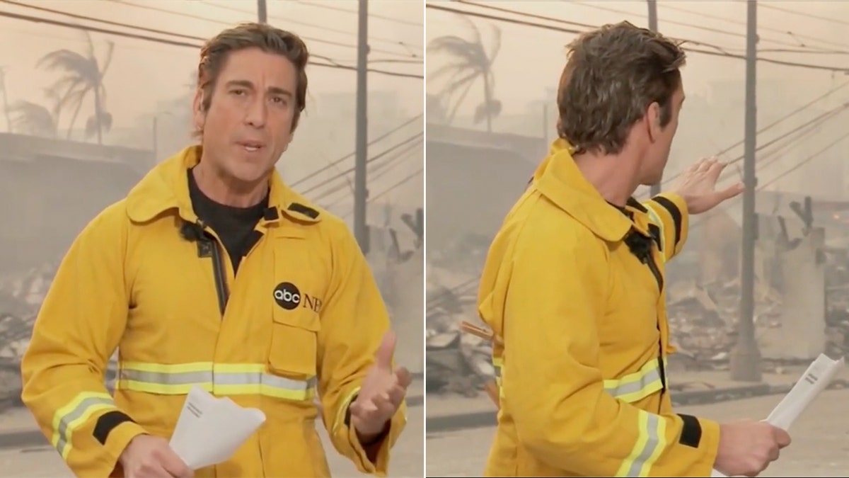 David Muir clothespins