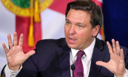 Ron DeSantis Chews Up A Woke Reporter And Spits Her Out With Hard Truths About Gavin Newsom