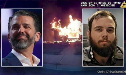 Pizzaman who rescued 4 kids from house fire reacts to Donald Trump Jr’s Medal of Freedom suggestion