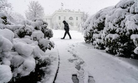 White House Tries to Post a Snow Pic but the Internet Roasts Them Like a Marshmallow on a Winter’s Night