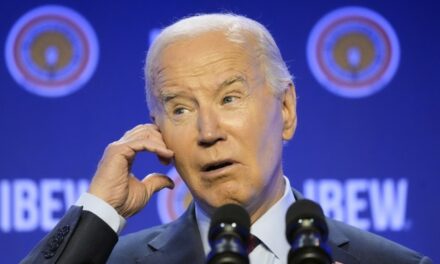 WOOF! Check Out the LOOK Kamala Fired (PUN INTENDED) at Biden for Making Joke During Fire Presser (Video)