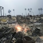 Elon Musk Offers Help for LA Areas Decimated by Fire, Avoids Trolling by Attention-Starved Swalwell