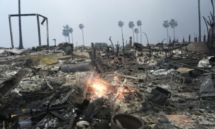 Elon Musk Offers Help for LA Areas Decimated by Fire, Avoids Trolling by Attention-Starved Swalwell