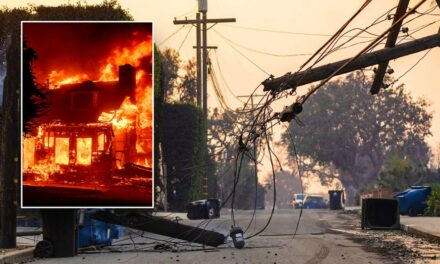 Power grid faults surged right before Los Angeles wildfires began: expert