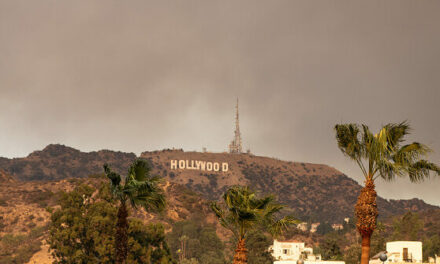 Brush Fire Erupts in Hollywood Hills Area, West of Iconic Hollywood Sign