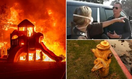 Distraught LA mom confronts Newsom over flailing wildfire response