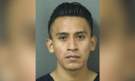 Illegal migrant charged with molesting Florida girl, 5, says family accused him over immigration status