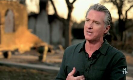 Gov. Newsom dragged on social media after recent interviews amid devastating wildfires