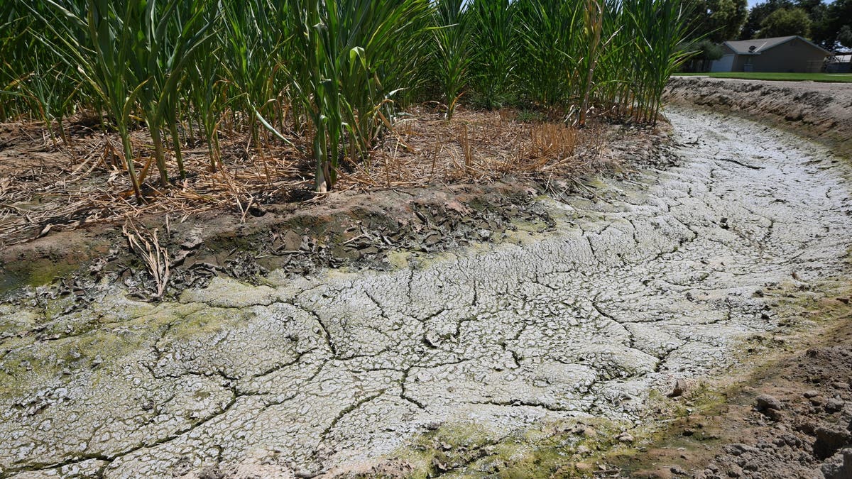 dried and cracked soil in an irrigation ditch